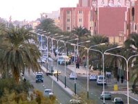 Développement local : premières assises régionales à Ouargla pour six wilayas du Sud-Est du pays