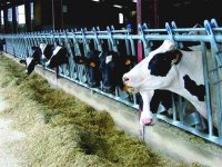 Le développement de l'agriculture en point de mire à M'sila