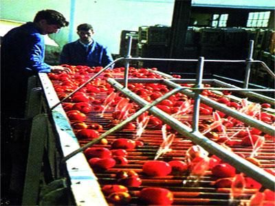 Ce qu'attendent les opérateurs économiques, locaux                                    Orientations économiques de Sellal