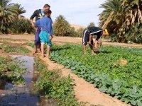 Investissement et agriculture, au centre des préoccupations des populations du Sud