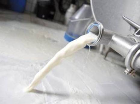 Filière lait dans les wilayas du Sud-est : Le comité régional interprofessionnel se fait attendre                                    Actu Régions : les autres articles