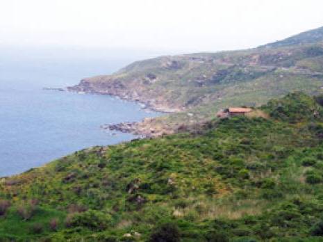 APW de Tizi Ouzou : Journée d'étude sur l'aménagement du littoral                                    Tiziouzou : les autres articles