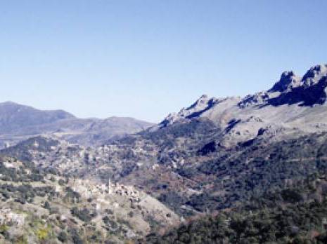 Aït Zikki : Une commune marginalisée                                    Tiziouzou : les autres articles