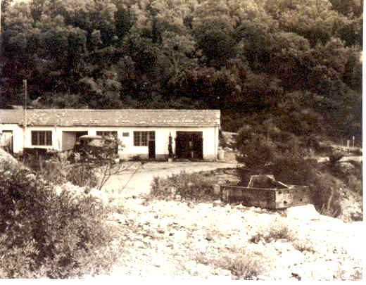 Le jour des longs couteaux : le 20 aout 1955