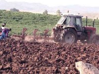 Algérie-Maroc : renforcer la coopération bilatérale dans l'agriculture