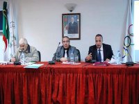 Jeux sportifs arabes (Doha-2011) : les athlètes sont 