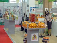 Agriculture                                    La production en hausse de 10,3%