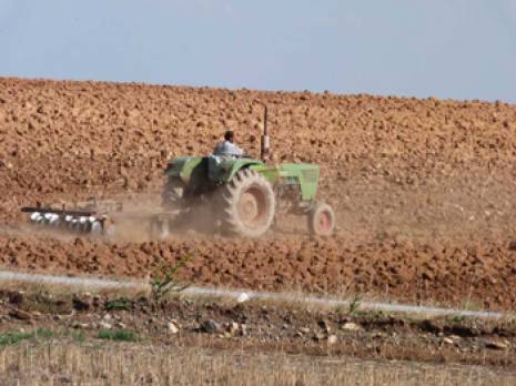 Wilaya de Bouira : Une saison agricole prometteuse                                    Bouira : les autres articles