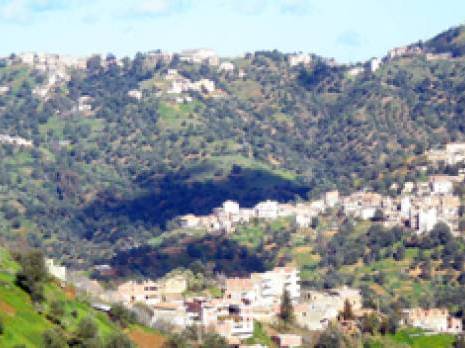 Commune de Maâtkas : Les villageois attendent le gaz naturel                                    Tiziouzou : les autres articles