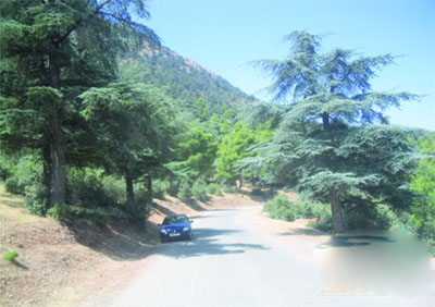 Promouvoir davantage le tourisme