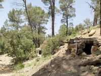 Khenchela                                    A la découverte de la forêt de Beni-Melloul