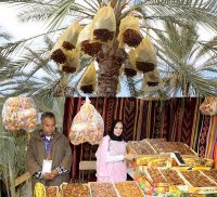 200 exposants au 1er salon international des dattes et du tourisme oasien à Tolga (Biskra)