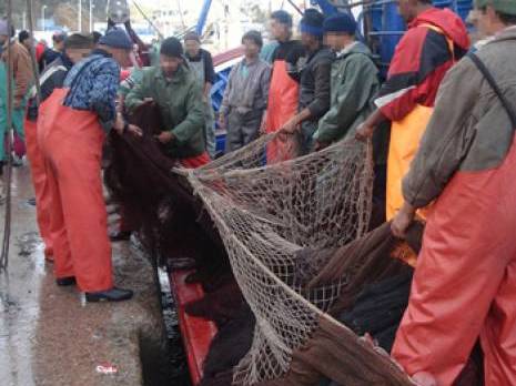 Ghazaouet : Les armateurs créanciers de la BADR mécontents                                    Tlemcen : les autres articles