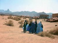 Tamanrasset                                    La jeunesse au service de la science et du tourisme saharien