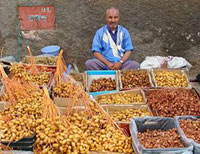 Biskra / Dattes et tourisme                                    Des perspectives prometteuses