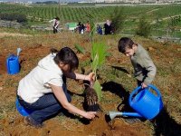 1,5 million d'arbres à planter à partir du 8 décembre
