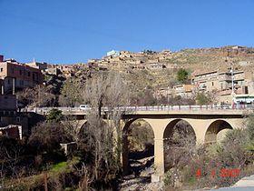 PORTRAIT.....Hadj Brahim Halimi