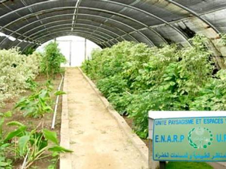 ENARP-UPEV de Chebli : Une entreprise publique coupée du reste du monde                                    Blida : les autres articles