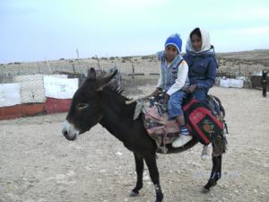 هروب جماعي لسكان أرياف شمال الأغواط نحو المدن
