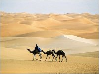 L'exploitation du sable d'Adrar préconisée pour la fabrication de cellules solaires