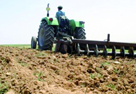 Emblavement de 150.000 hectares prévu BATNA, Labours-semailles