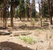 مقبرة واحدة لجمع رفات 