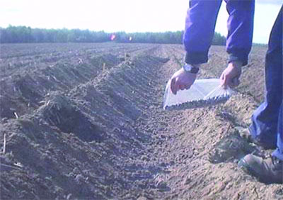 Des agriculteurs frustrés, des terres louées et d'autres inexploitées