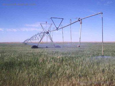 Sud'Agral : un salon dédié à l'agriculture saharienne                                    Prévu du 17 au 19 décembre à Biskra