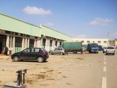 Appel à la réhabilitation du marché de gros des fruits et légumes de Mohammadia                                    Commerce