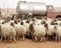 40 عامل بسيدي عبد الرحمان بتيارت يطالبون بالعودة إلى أراضيهم