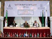 Les peines alternatives à la privation de liberté liées principalement aux domaines de droits de l'Homme (ministre)