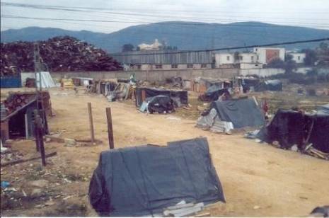 Des familles sans abri                                    Après la démolition de leurs habitations à la cité Seybouse