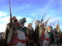 Coup d'envoi du festival régional Sud de cavalerie à Ouargla