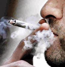 Découverte de 03 kg de Kif dans le domicile d'un dealer à Ain Témouchent