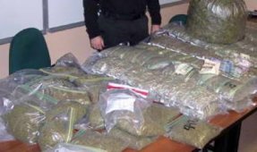 إيقاف ثلاثة أشخاص بتهمة المتاجرة بالمخدرات بسطيف