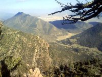 Exposition à Annaba sur la culture environnementale