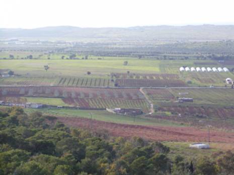 Agriculture de montagne : L'association «ADAM» est née                                    Tiaret : les autres articles