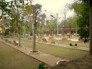 mir de sougueur adda maheidine diit   Fera nouvelle boulodrom