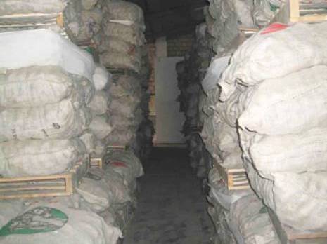 Importation de semences de pomme de terre : La campagne marque le pas                                    Mostaganem : les autres articles