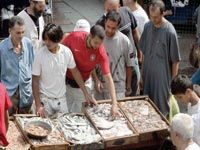 Le phénomène réapparaît en l'absence de mesures alternatives                                    Alger : revoilà les marchés informels