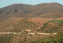 Un jeune homme égorgé à la montagne des Lions à Oran                                    SA VOITURE A ETE VOLEE ET SA COMPAGNE KIDNAPPEE