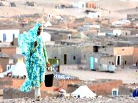 Début de la 3ème conférence internationale d'Alger sur le droit des peuples à la résistance : le cas du peuple sahraoui