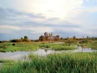 zone humide de Guerbès-Sanhadja à SKIKDA                                    Le plan de gestion validé