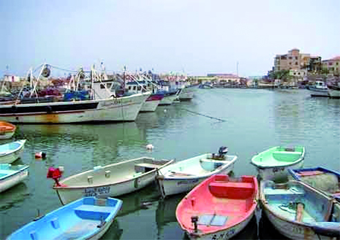 Mise en service de 2 ports secs et 3 entrepôts                                    BOUMERDES, Capacités de stockage