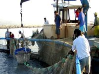 Boumerdes : l'équipement de la halle à marée de Zemmouri très attendu par les pécheurs