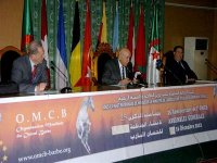 Promotion du cheval barbe à l'international, défi de l'OMCB dans les années à venir