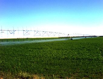 نحو تحقيق مشاريع تنموية مستقبلية في مجال الري ببومرداس                                    خلال السنتين المقبلتين