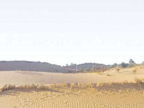 Lutte contre la désertification : Un défi mondial                                    Actualité : les autres articles