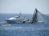 La pêche illicite, une menace pour les réserves halieutiques en Algérie (responsable)