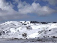 Premiers flocons de neige sur Sétif et sa région